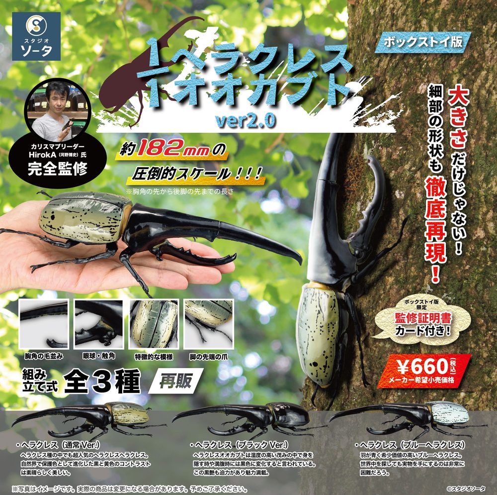 1/1 ヘラクレスオオカブト Ver2.0 (1/1 Hercules Beetle Ver 2.0)