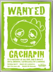 ガチャピン・ムック キャラクタースリーブ ガチャピン WANTED EN-1643 (Gachapin & Mukku Character Sleeve Gachapin WANTED EN-1643)