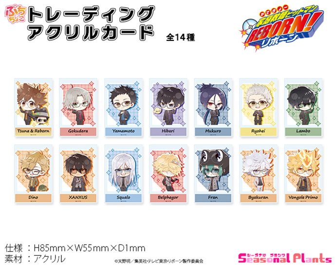家庭教師ヒットマンREBORN! ぷちちょこトレーディングアクリルカード メガネ&スーツVer. ("Reborn!" Puchichoko Trading Acrylic Card Glasses & Suit Ver.)