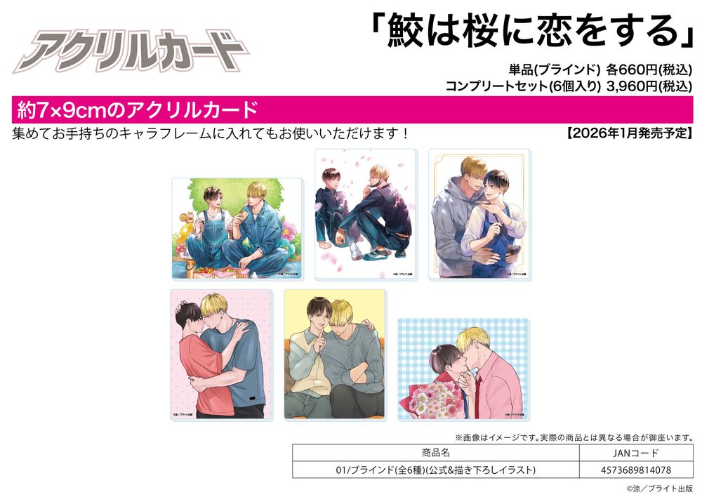 アクリルカード 鮫は桜に恋をする 01 公式&描き下ろしイラスト (Acrylic Card "The Shark Falls in Love with the Cherry Blossom" 01 Official & Original Illustration)