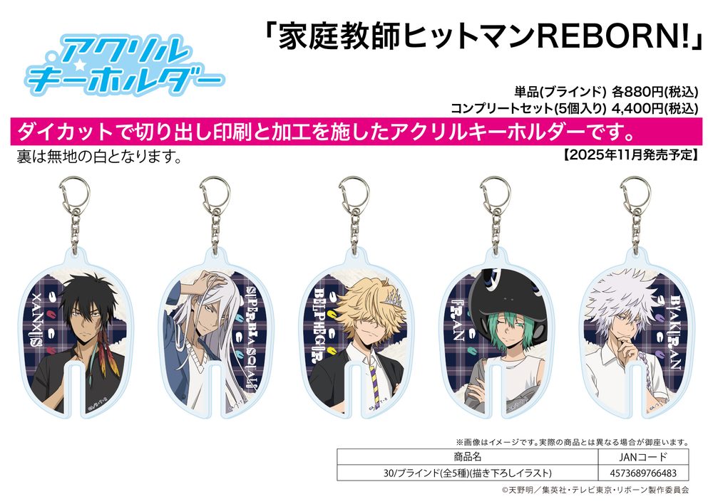 アクリルキーホルダー 家庭教師ヒットマンREBORN! 30 描き下ろしイラスト (Acrylic Key Chain "Reborn!" 30 Original Illustration)