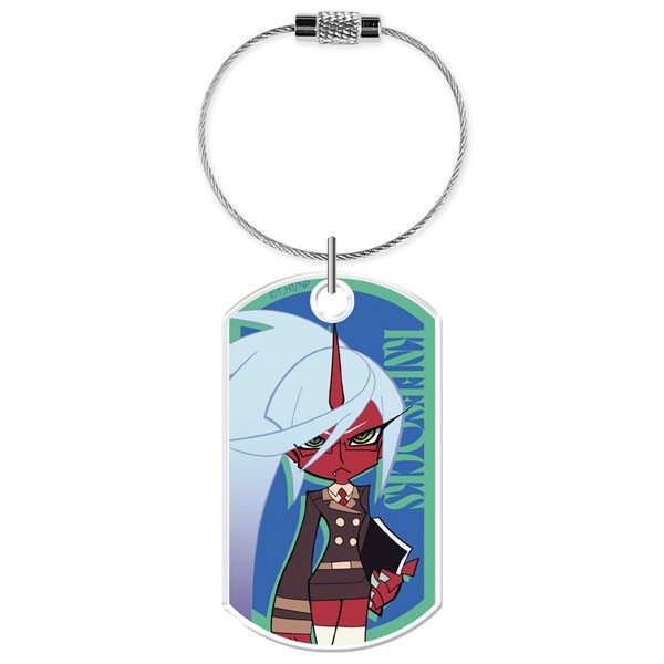 New PANTY & STOCKING with GARTERBELT アクリルキーリング ニーソックス ("New Panty & Stocking with Garterbelt" Acrylic Key Ring Kneesocks)