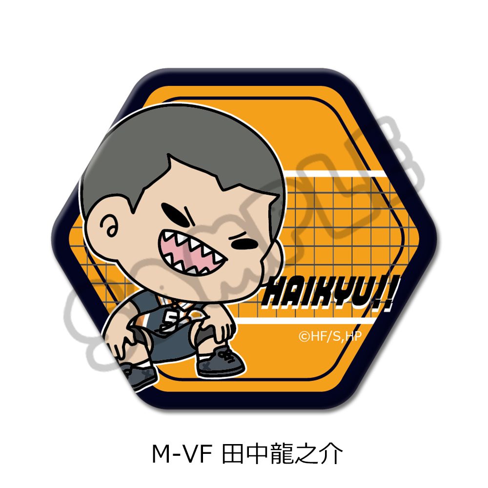 ハイキュー!! 第8弾 六角形缶バッジ(mochocho) M-VF 田中龍之介 ("Haikyu!!" Vol. 8 Hexagonal Can Badge (mochocho) M-VF Tanaka Ryunosuke)