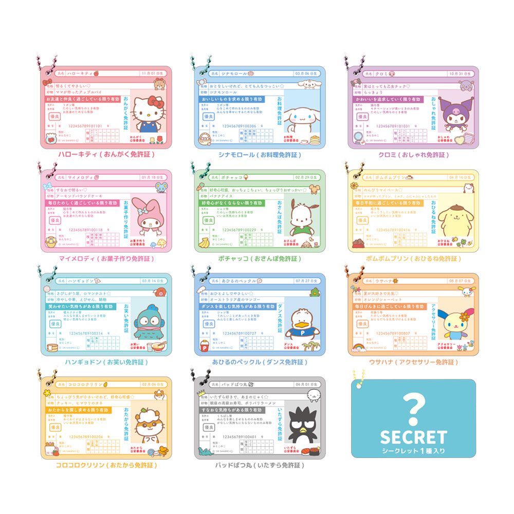サンリオキャラクターズ シークレット免許証キーホルダー (Sanrio Characters Secret License Card Key Chain)