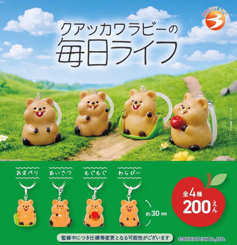 200円カプセル クアッカワラビーの毎日ライフ (Quokka's Daily Life)