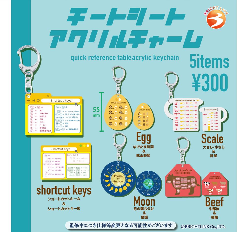 300円カプセル チートシートアクリルチャーム (Cheat Sheet Acrylic Charm)