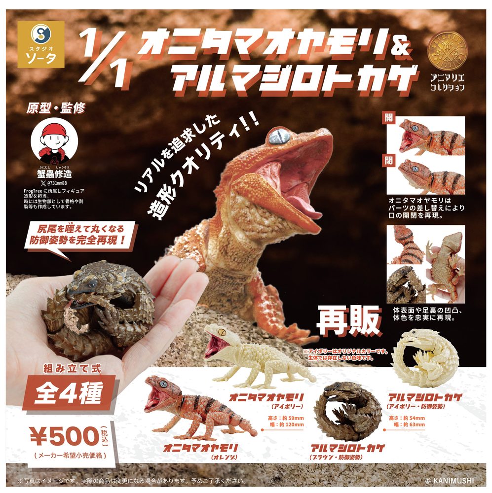 500円カプセル 1/1オニタマオヤモリ&アルマジロトカゲ (1/1 Nephrurus Amyae & Ouroborus Cataphractus)
