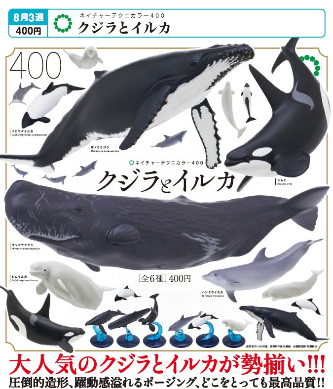 400円カプセル ネイチャーテクニカラー400 クジラとイルカ (Nature Techni Colour 400 Whale and Dolphin)