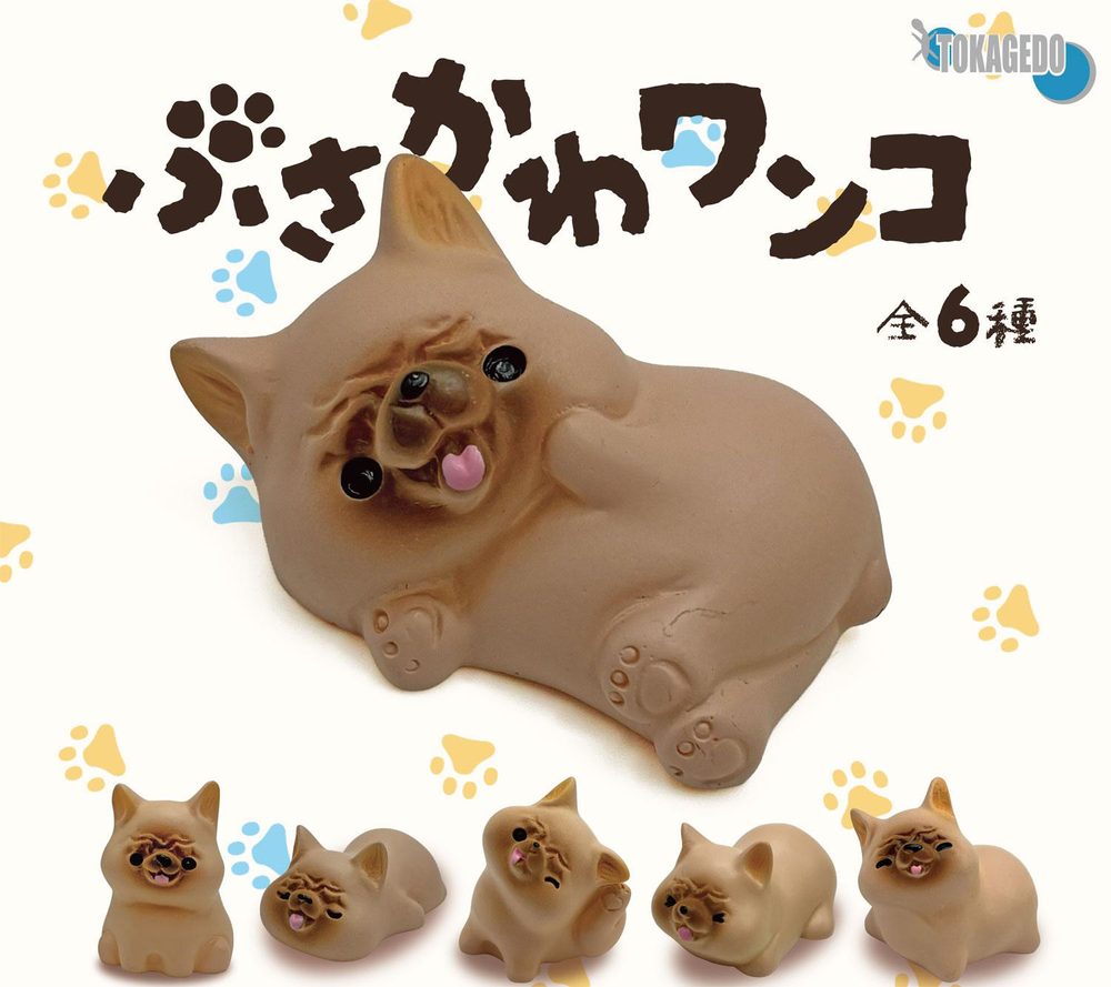 300円カプセル ぶさかわワンコ (Busakawa Dog)