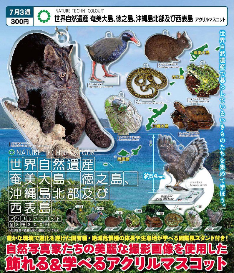 300円カプセル ネイチャーテクニカラー 世界自然遺産 奄美大島、徳之島、沖縄島北部及び西表島 アクリルマスコット (Nature Techni Colour World Natural Heritage Amami Island, Tokunoshima, Northern Okinawa & Iriomote Island Acrylic Mascot)