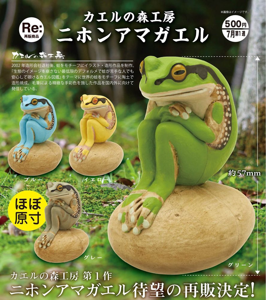 500円カプセル カエルの森工房 ニホンアマガエル (FOREST AMP Japanese Tree Frog)