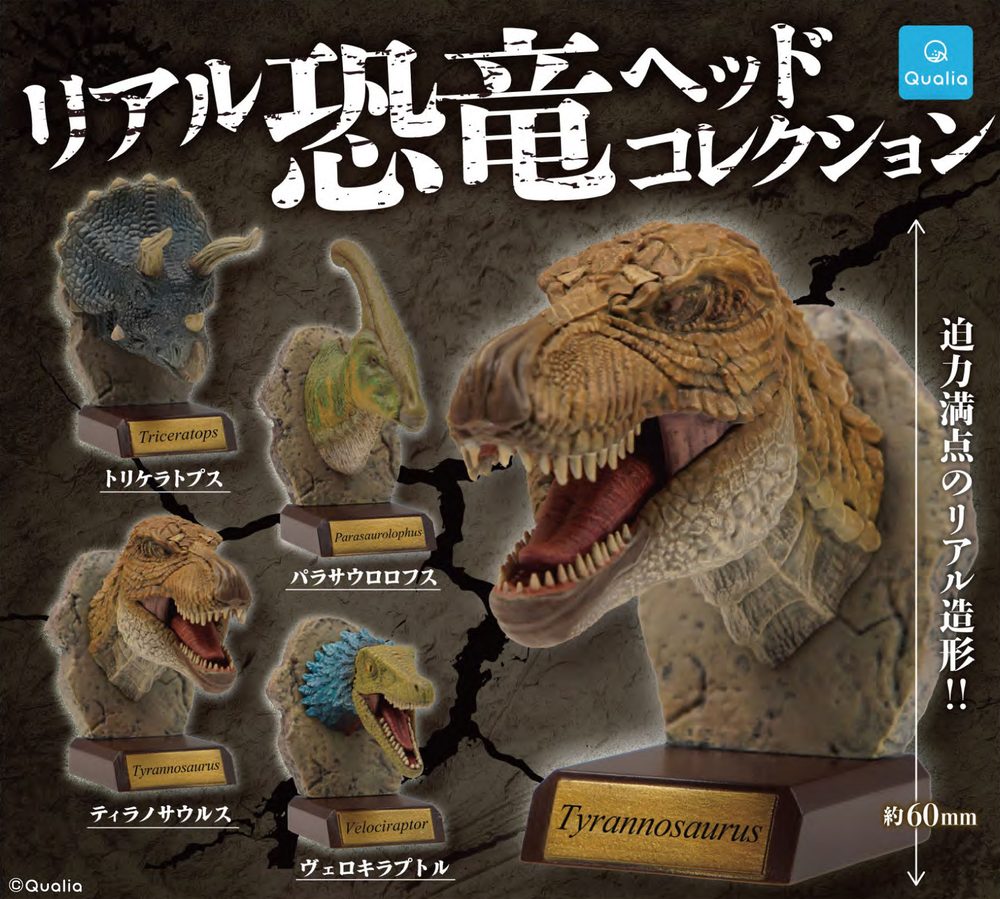 500円カプセル リアル恐竜ヘッドコレクション (Real Dinosaur Head Collection)