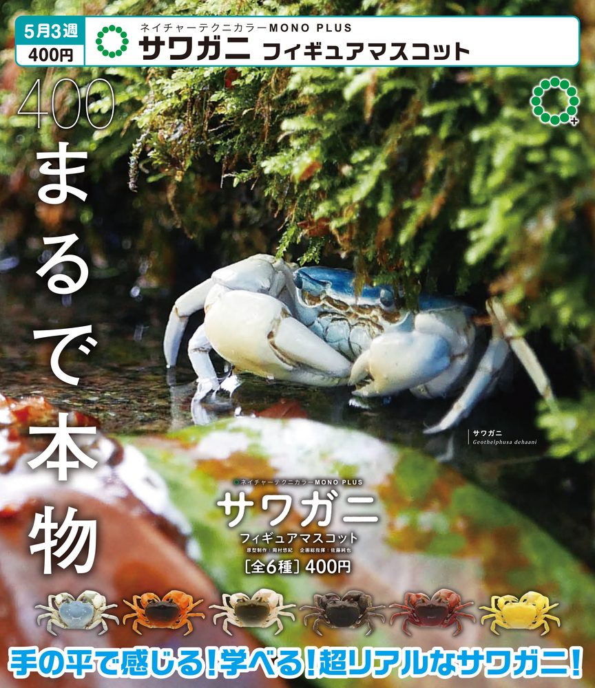 400円カプセル ネイチャーテクニカラーMONO PLUS サワガニ フィギュアマスコット (Nature Techni Colour MONO PLUS Freshwater Crab Figure Mascot)