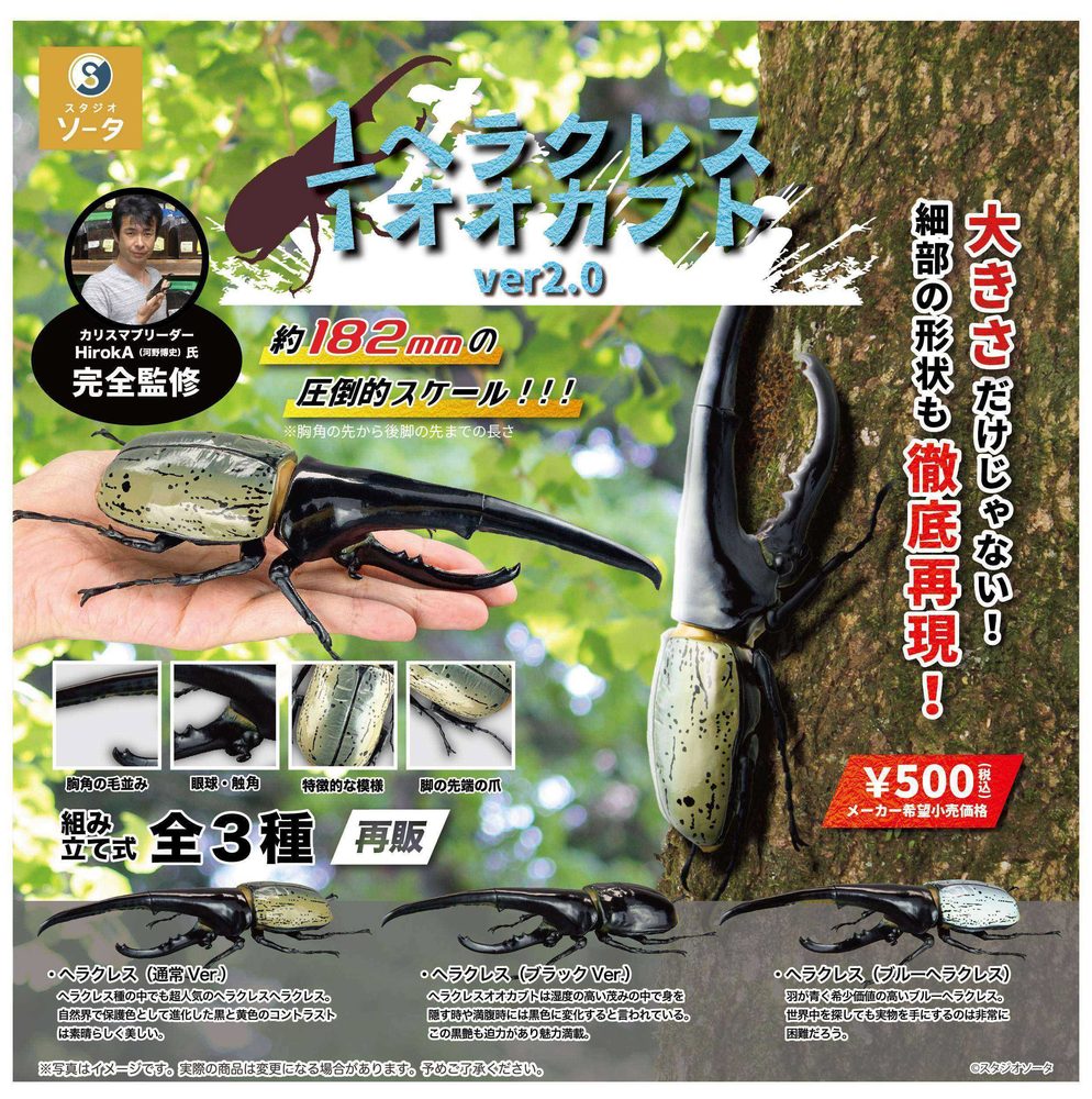 500円カプセル 1/1 ヘラクレスオオカブト Ver2.0 (1/1 Hercules Beetle Ver 2.0 (Capsule))