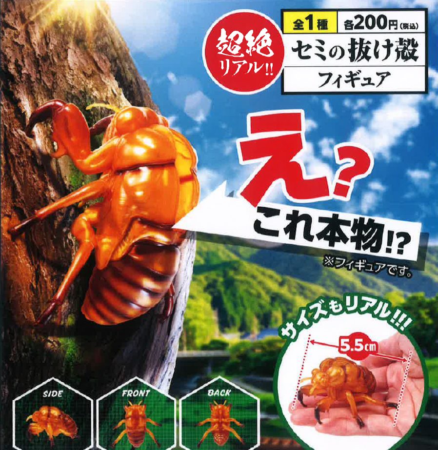 200円カプセル セミの抜け殻フィギュア (Cicada Shell Figure)