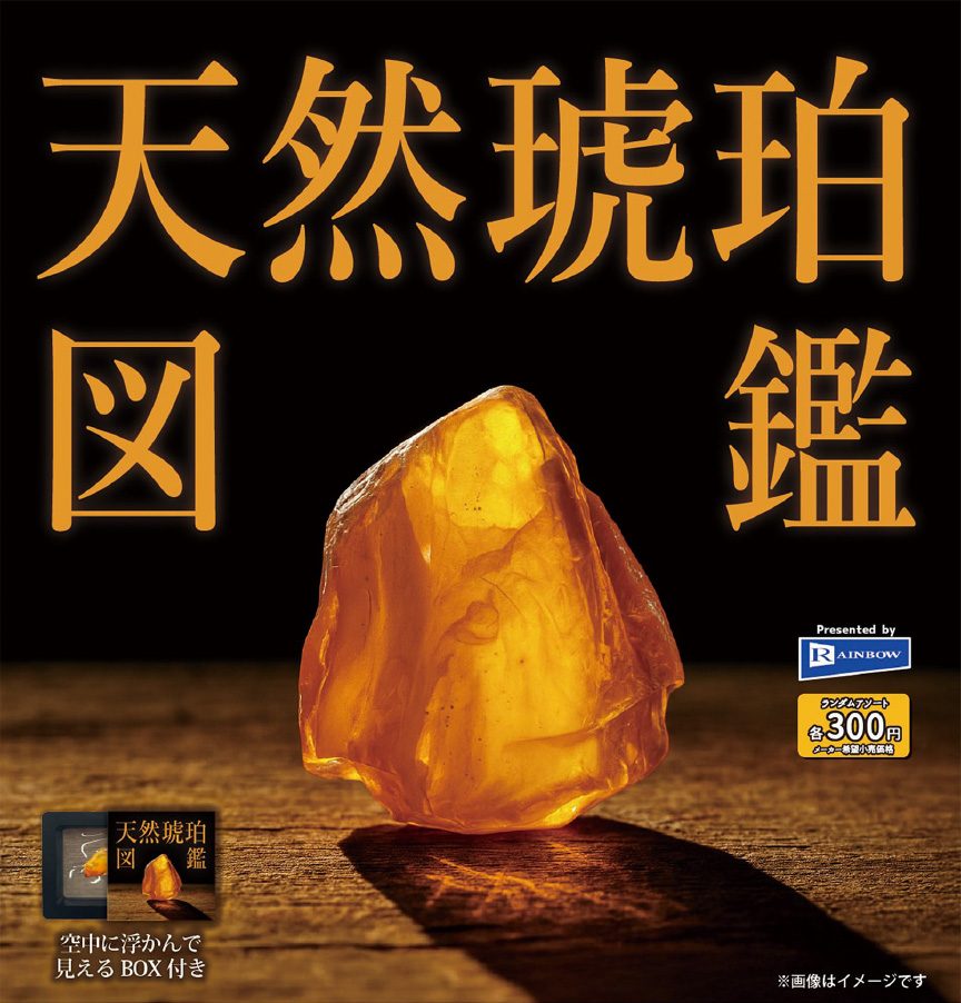 300円カプセル 天然琥珀図鑑 (Natural Amber Picture Book)