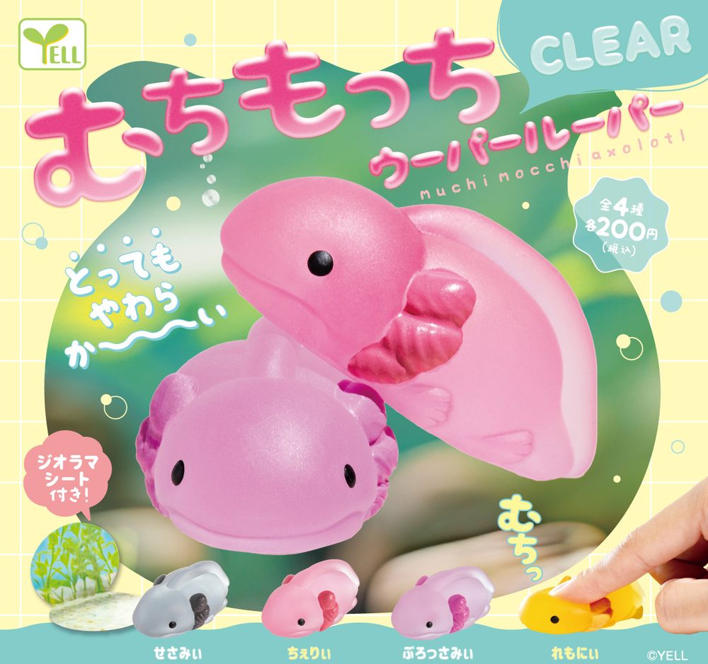 200円カプセル むちもっちウーパールーパー-CLEAR- (Muchi Mocchi Axolotl -Clear-)