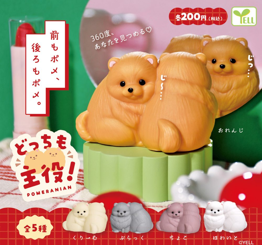 200円カプセル どっちも主役!ポメラニアン (Dotchi mo Shuyaku! Pomeranian)