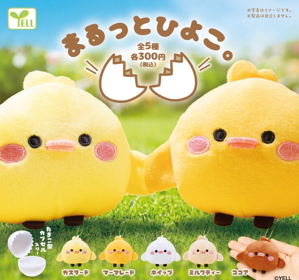 300円カプセル まるっとひよこ。 (Marutto Hiyoko.)