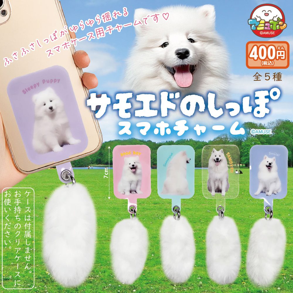 400円カプセル サモエドのしっぽスマホチャーム (Samoyed no Shippo Smartphone Charm)