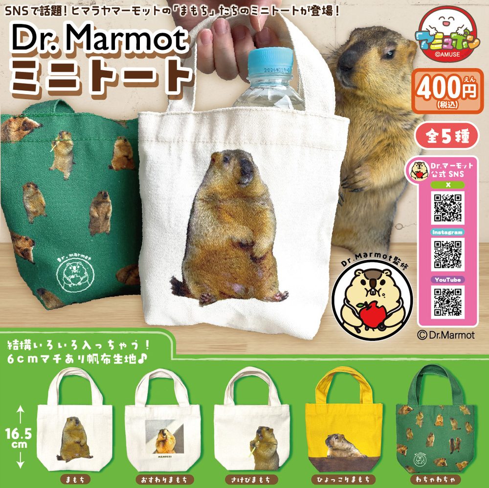 400円カプセル Dr.マーモットミニトート (Dr. Marmot Mini Tote Bag)