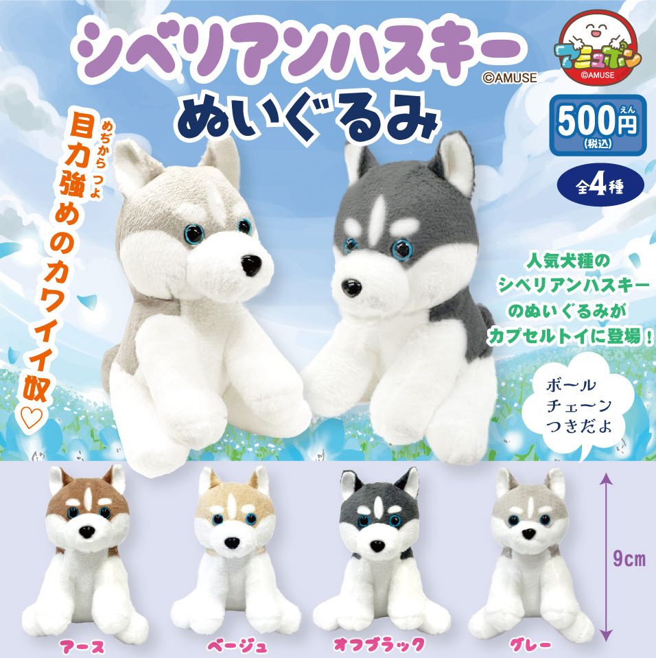 500円カプセル シベリアンハスキーぬいぐるみ (Siberian Husky Plush)