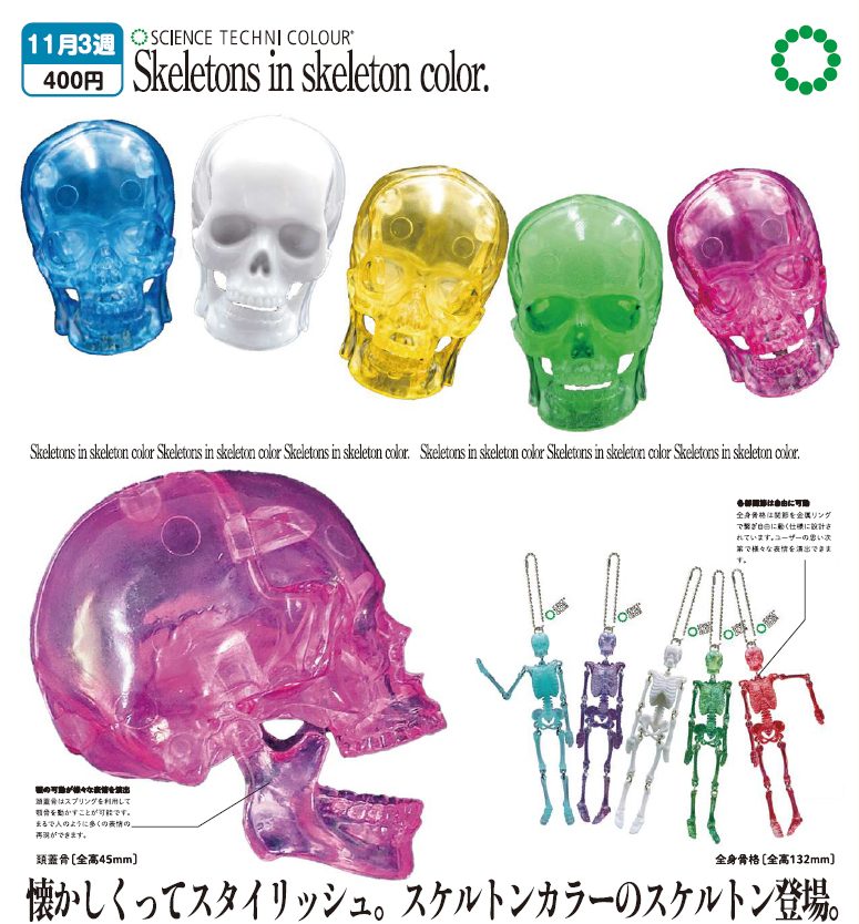 400円カプセル サイエンステクニカラー スケルトンズ イン スケルトンカラー (Science Techni Colour Skeletons in Skeleton Color)