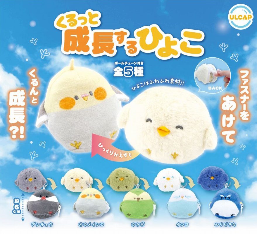 500円カプセル くるっと成長するひよこ (Kurutto Growing Chick)