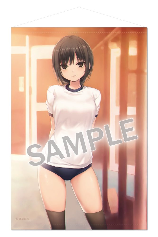 珈琲貴族 B2タペストリー 放課後のブルマニーソ青山さん (Coffee Kizoku B2 Tapesty After School Bloomers Knee Socks Aoyama-san)