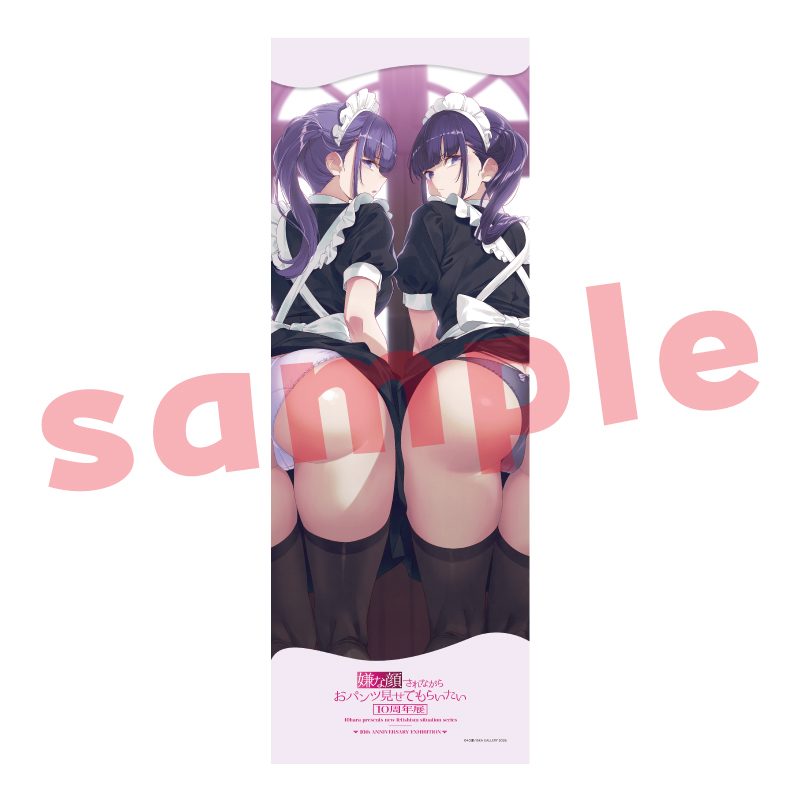 メガタペ01 嫌な顔されながらおパンツ見せてもらいたい3 (Mega Tapestry 01 "Iya na Kao Sarenagara Opantsu Misete Moraitai 3")