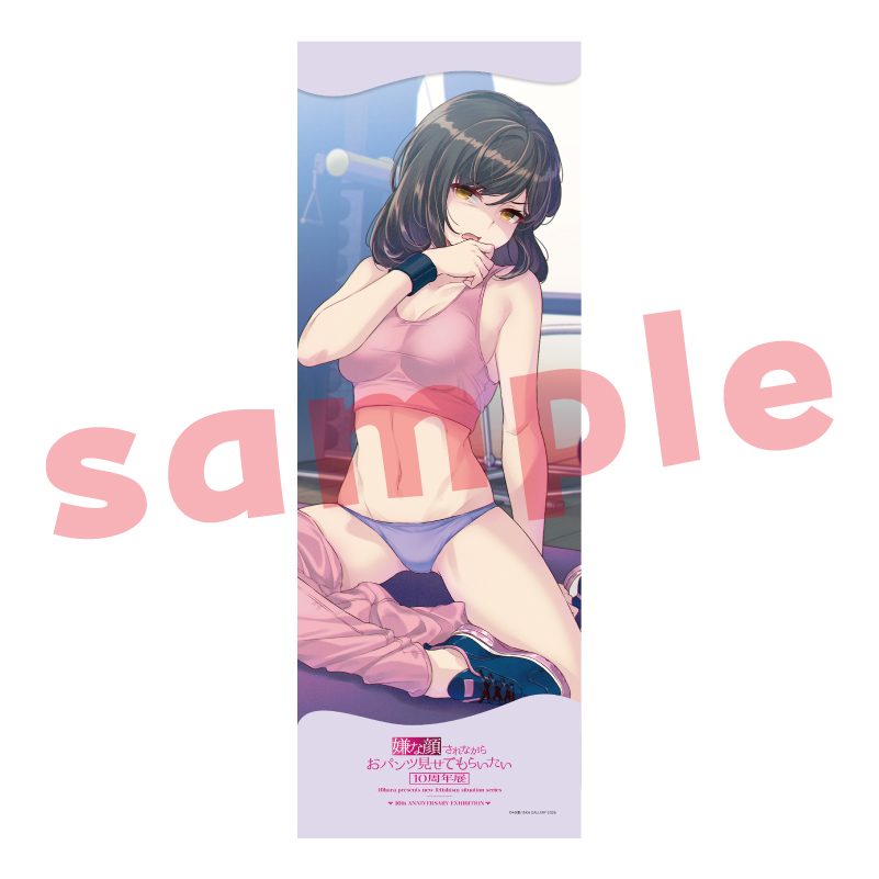 メガタペ02 嫌な顔されながらおパンツ見せてもらいたい3 (Mega Tapestry 02 "Iya na Kao Sarenagara Opantsu Misete Moraitai 3")