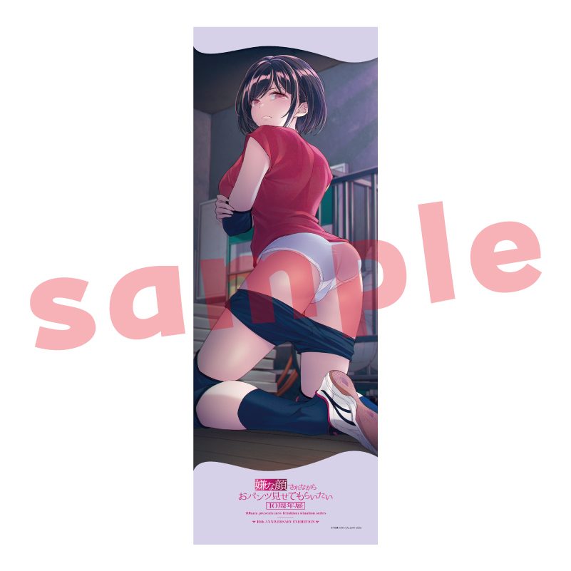 メガタペ03 嫌な顔されながらおパンツ見せてもらいたい3 (Mega Tapestry 03 "Iya na Kao Sarenagara Opantsu Misete Moraitai 3")