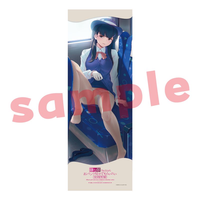 メガタペ05 嫌な顔されながらおパンツ見せてもらいたい3 (Mega Tapestry 05 "Iya na Kao Sarenagara Opantsu Misete Moraitai 3")