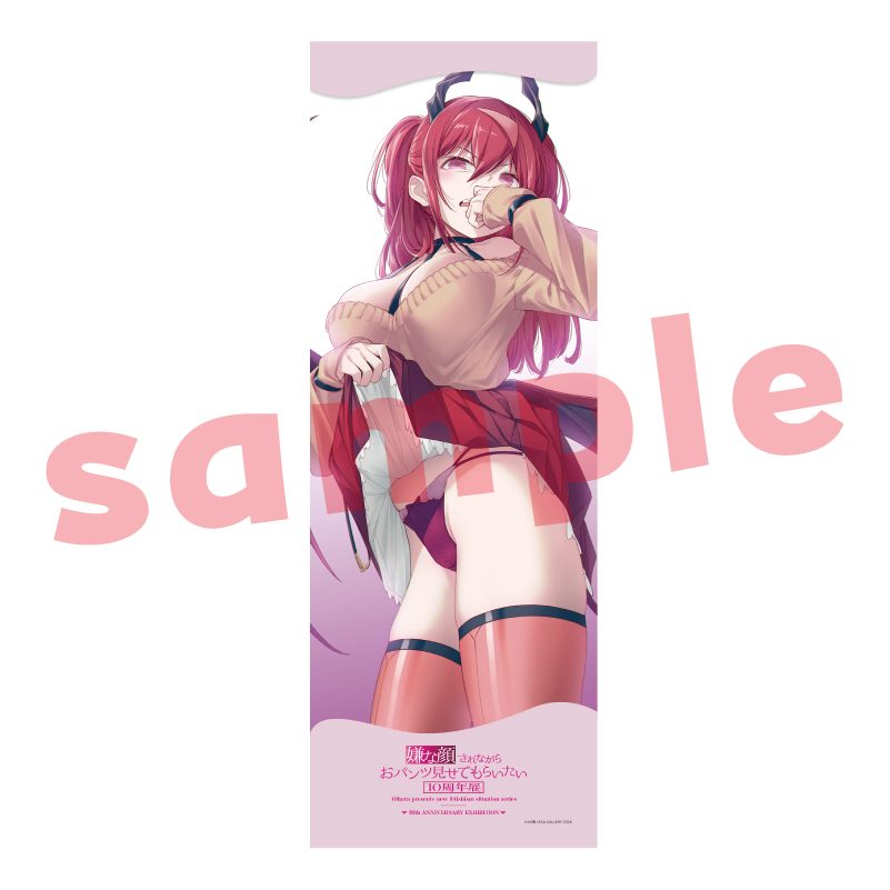 メガタペ06 嫌な顔されながらおパンツ見せてもらいたい3 (Mega Tapestry 06 "Iya na Kao Sarenagara Opantsu Misete Moraitai 3")
