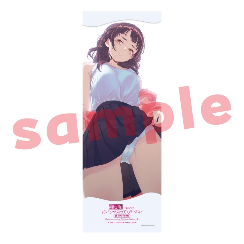 メガタペ08 嫌な顔されながらおパンツ見せてもらいたい3 (Mega Tapestry 08 "Iya na Kao Sarenagara Opantsu Misete Moraitai 3")