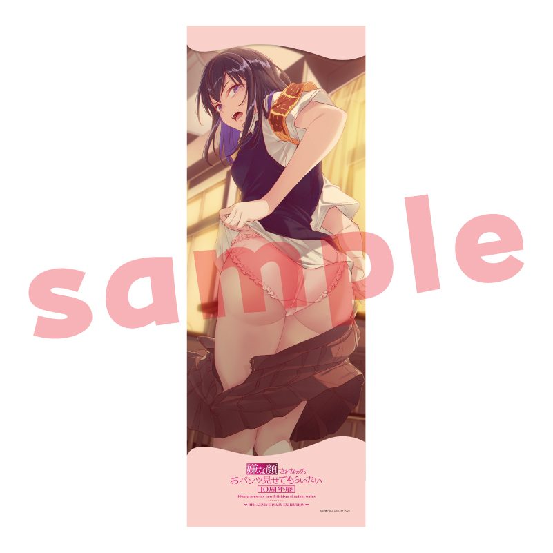 メガタペ09 嫌な顔されながらおパンツ見せてもらいたい3 (Mega Tapestry 09 "Iya na Kao Sarenagara Opantsu Misete Moraitai 3")