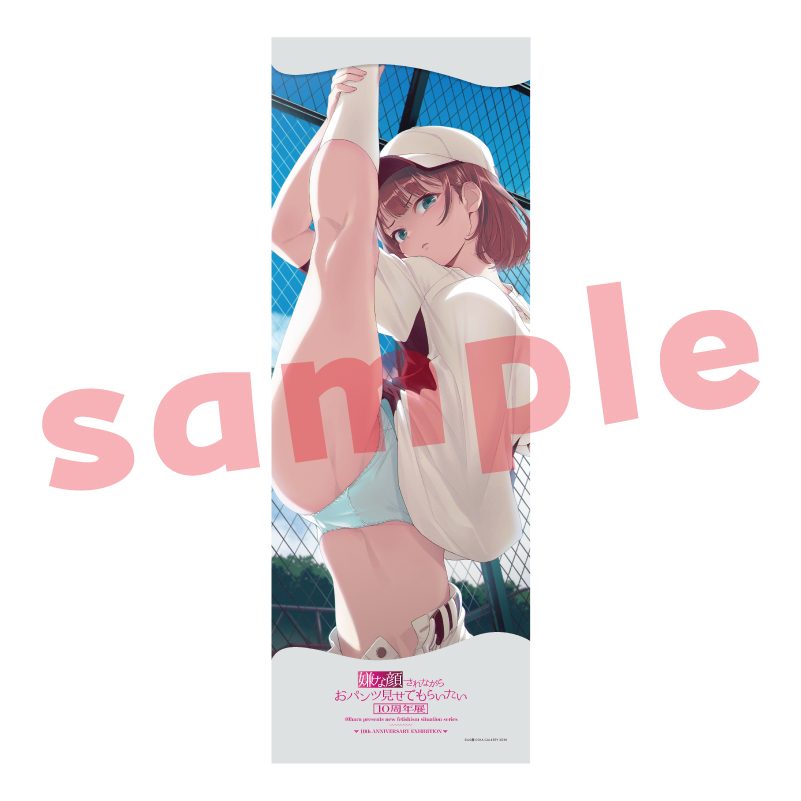 メガタペ10 嫌な顔されながらおパンツ見せてもらいたい3 (Mega Tapestry 10 "Iya na Kao Sarenagara Opantsu Misete Moraitai 3")