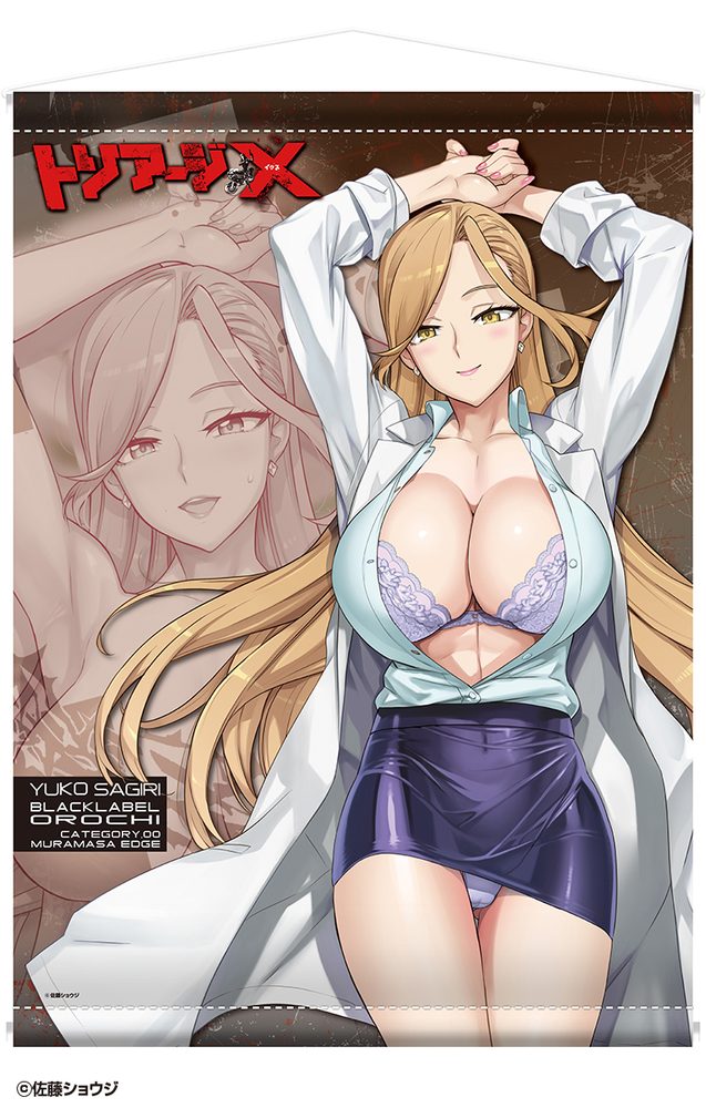 トリアージX 狭霧友子 B2タペストリー ("Triage X" Sagiri Yuko B2 Tapestry)