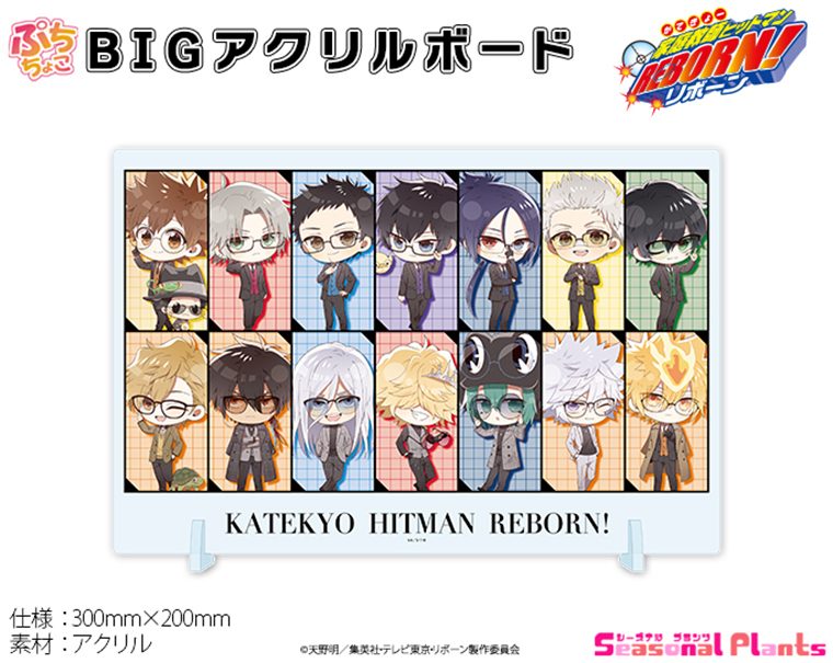 家庭教師ヒットマンREBORN! ぷちちょこBIGアクリルボード メガネ&スーツVer. ("Reborn!" Puchichoko Big Acrylic Board Glasses & Suit Ver.)