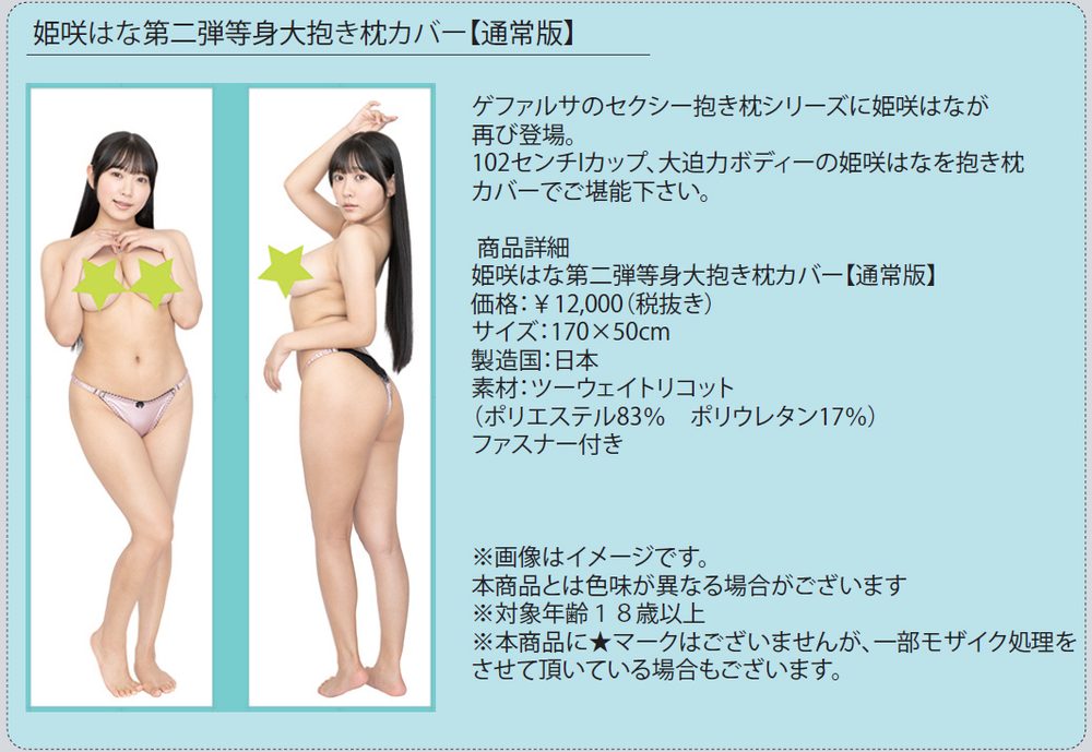 姫咲はな 第二弾 等身大抱き枕カバー 通常版 (Hana Himesaki Vol. 2 Life-size Dakimakura Cover Normal Edition)