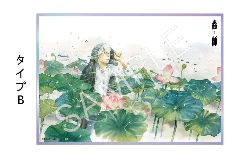 AFORCE×DRAGON HORSE 蟲師 アクリル色紙 B (AFORCE x DRAGON HORSE "MUSHISHI" ACRYLIC SHIKISHI B)