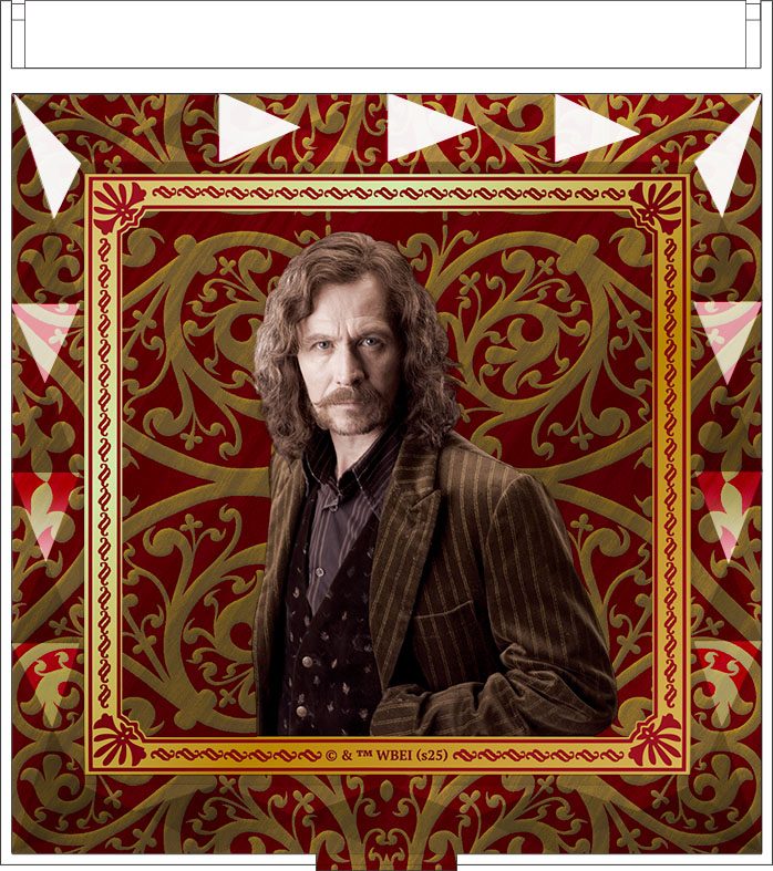 ハリー・ポッター ジュエルミラー シリウス・ブラック ("Harry Potter" Jewel Mirror Sirius Black)