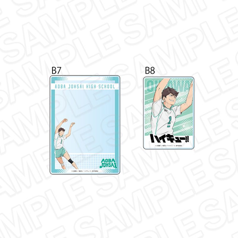 ハイキュー!! 硬質カードケースセット 及川徹 ("Haikyu!!" Hard Card Case Set Oikawa Toru)