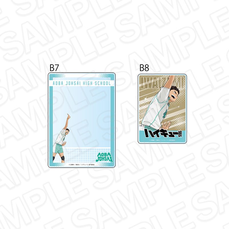 ハイキュー!! 硬質カードケースセット 岩泉一 ("Haikyu!!" Hard Card Case Set Iwaizumi Hajime)