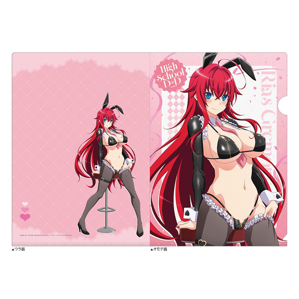 ハイスクールD×D HERO 描き下ろしクリアファイル リアス・グレモリー/逆バニー(黒) ("High School DxD Hero" Original Illustration Clear File Rias Gremory / Reverse Bunny (Black))