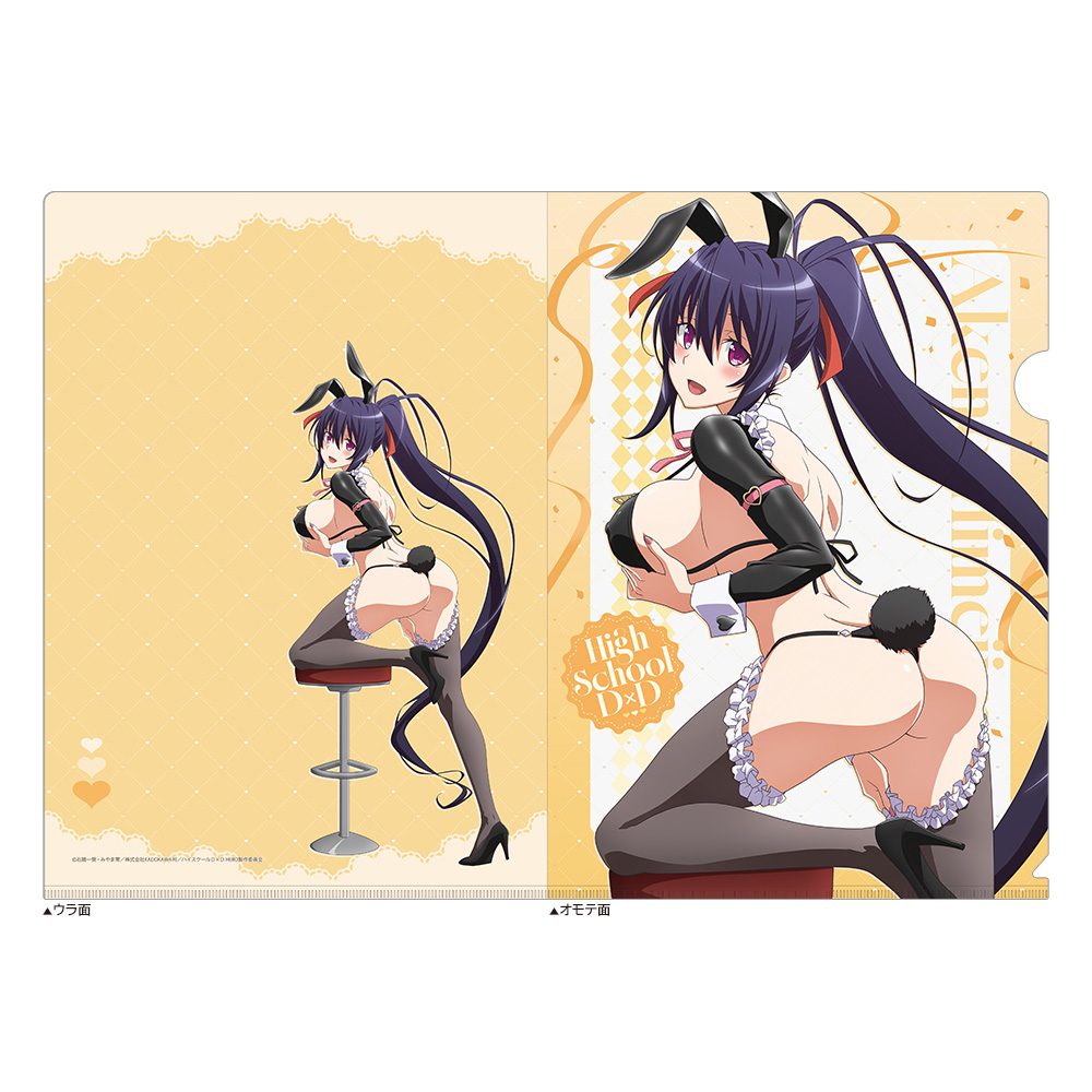 ハイスクールD×D HERO 描き下ろしクリアファイル 姫島朱乃/逆バニー(黒) ("High School DxD Hero" Original Illustration Clear File Himejima Akeno / Reverse Bunny (Black))