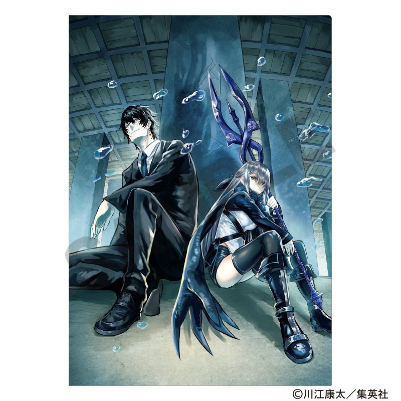 鵺の陰陽師 シングルクリアファイル 藤乃代葉&狂骨 ("Nue's Exorcist" Single Clear File Fujino Shiroha & Kyokotsu)