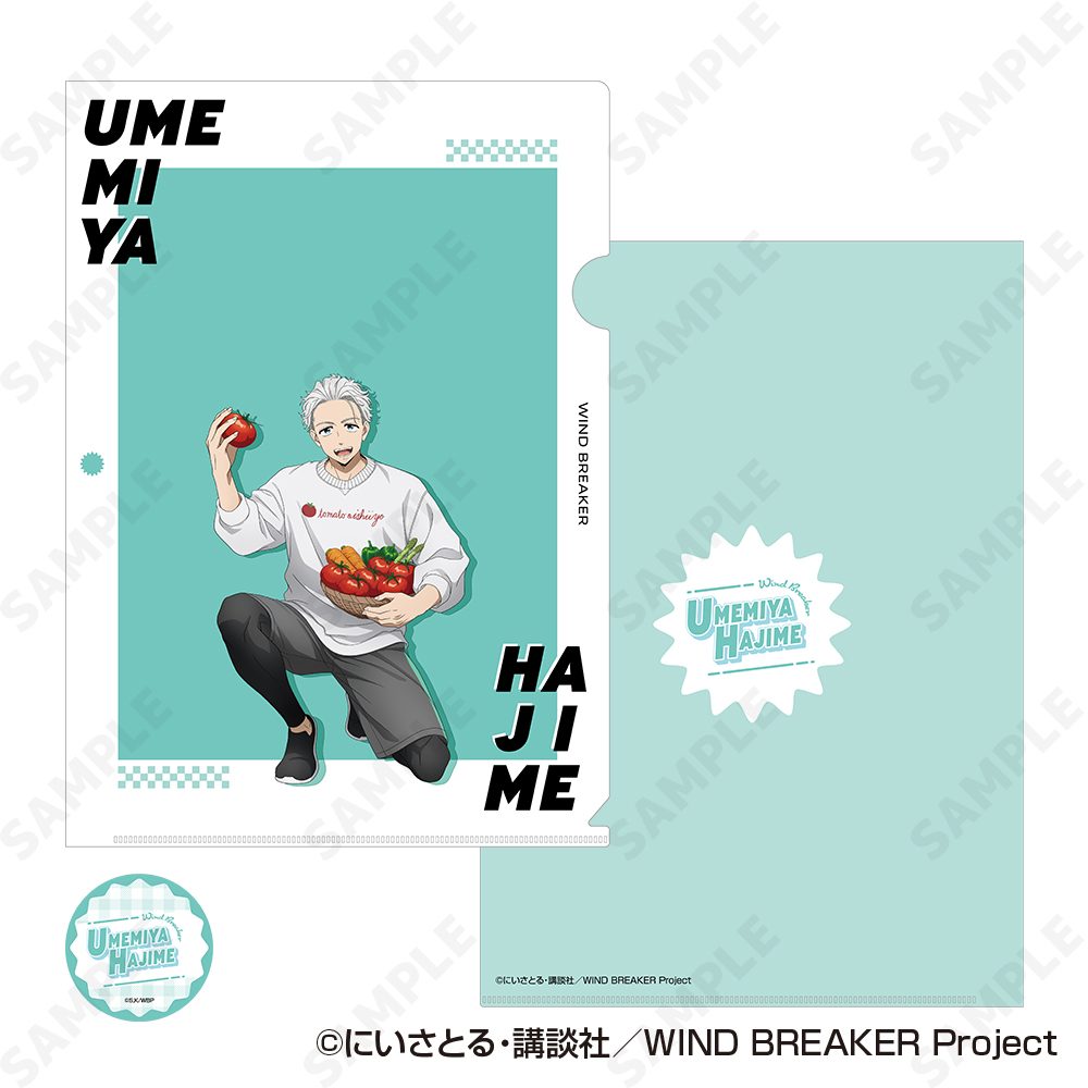 WIND BREAKER クリアファイル&ステッカーセット 2 梅宮一 ("Wind Breaker" Clear File & Sticker Set 2 Umemiya Hajime)