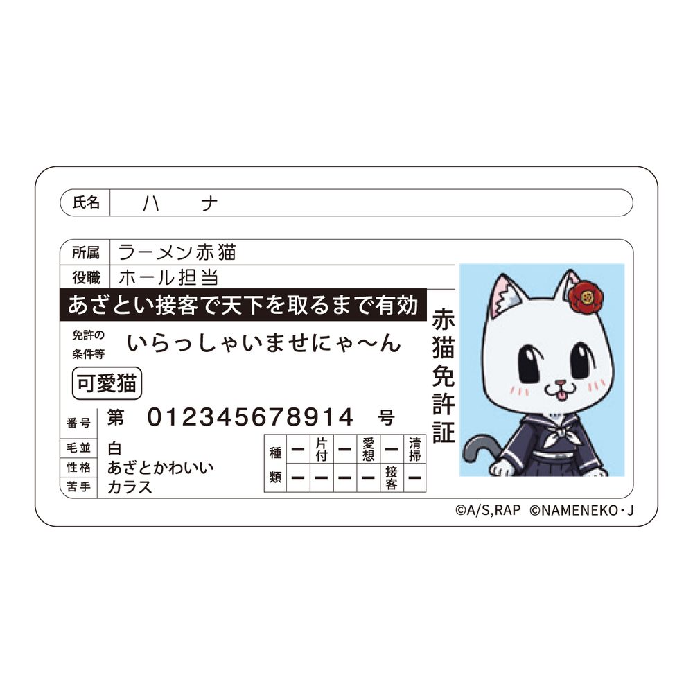 ラーメン赤猫×なめ猫コラボ 免許証風ステッカー ハナ ("Ramen Akaneko" x Nameneko Collaboration Driver's License Style Sticker Hana)