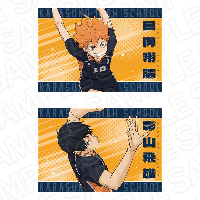 ハイキュー!! ポストカード2枚セット 烏野高校 ("Haikyu!!" Postcard 2 Set Karasuno High School)